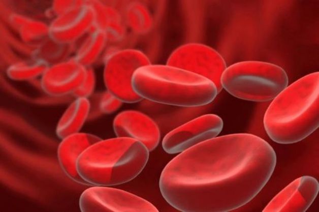 anemia da malattia del midollo osseo