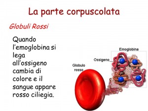 Parti-instabili-dell'emoglobina-caratteristiche-ed-effetti